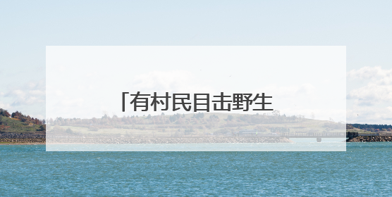 有村民目击野生东北虎，黑龙江一地发布紧急通知